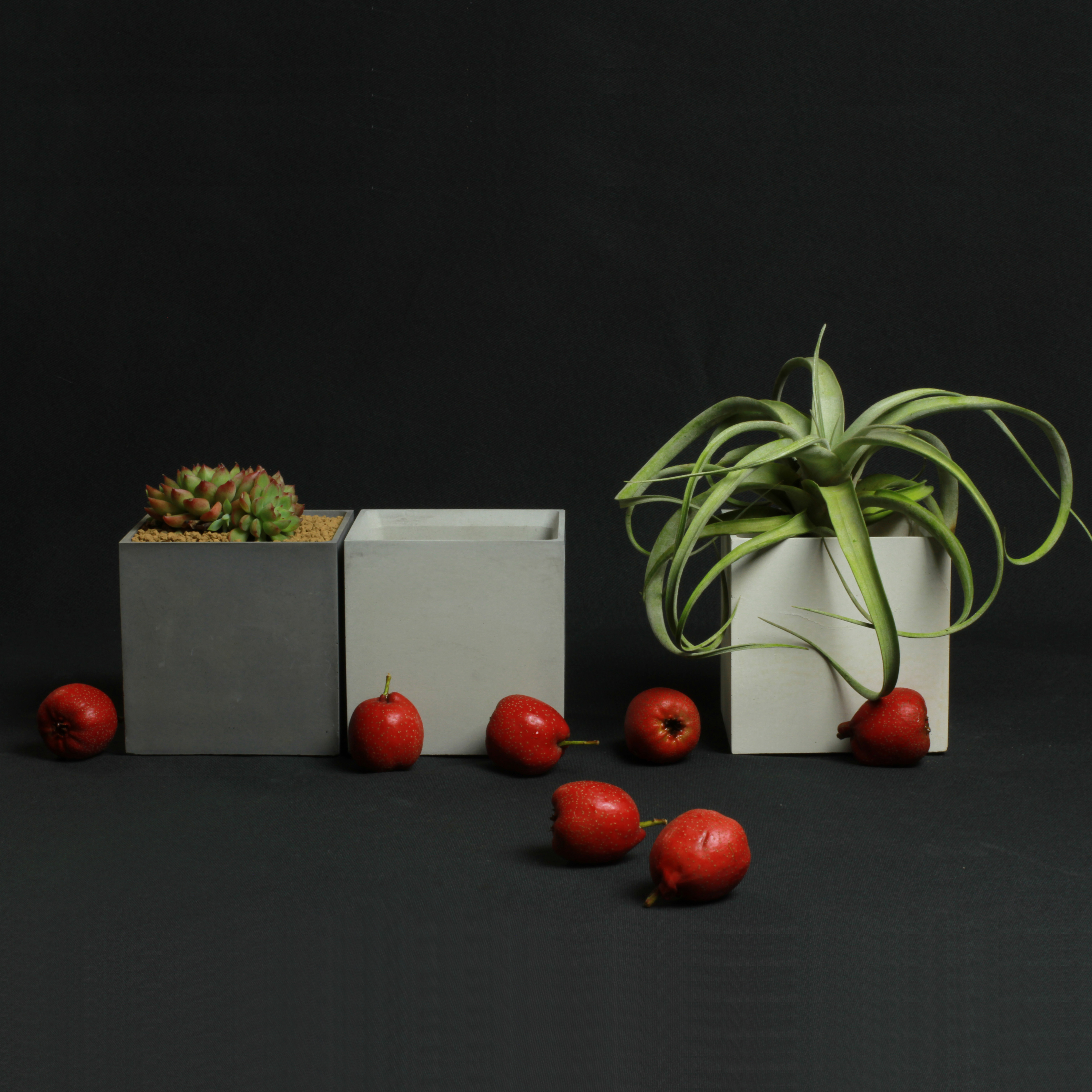 Minimalist cement flowerpot，