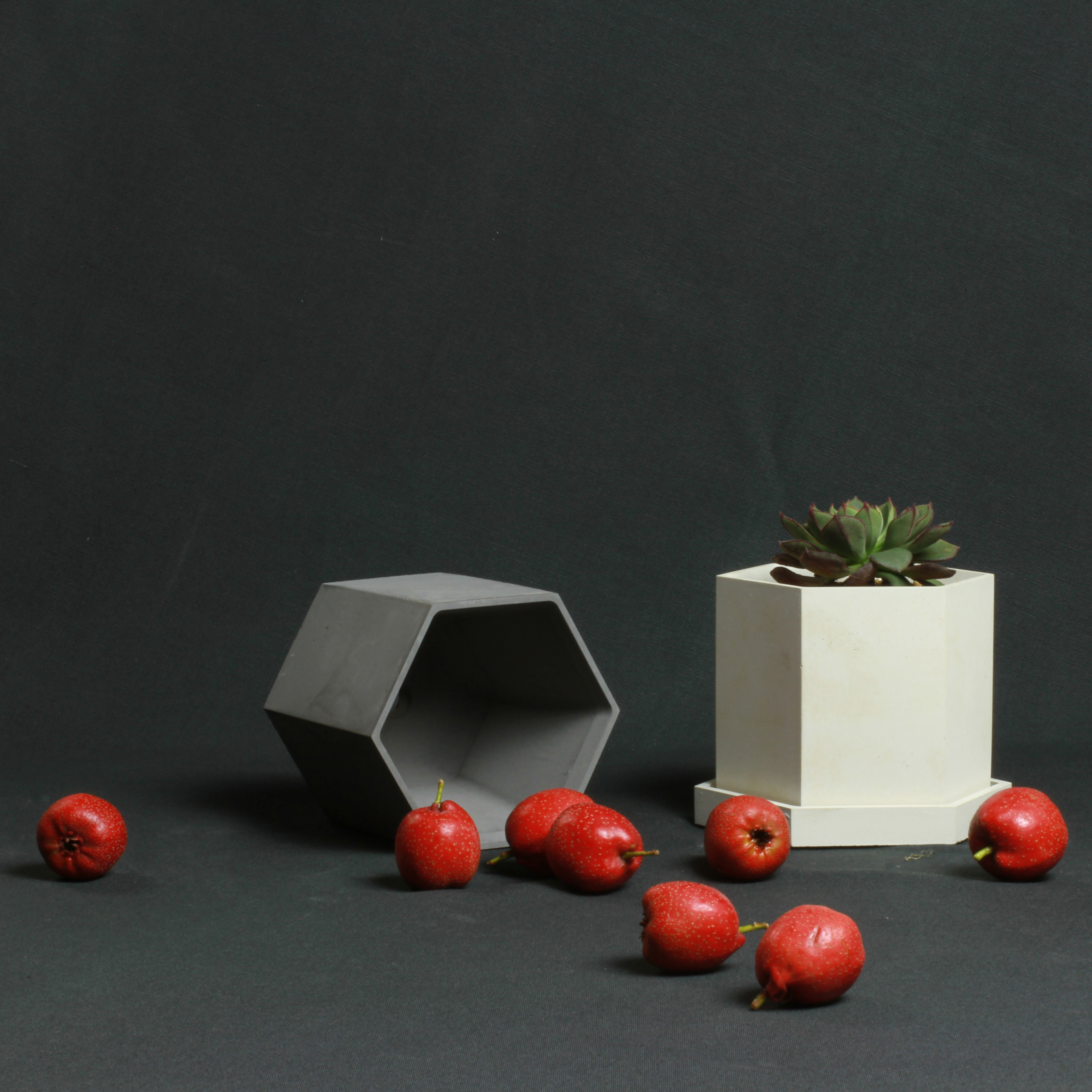 Simple, exquisite and modern creative fair faced concrete flowerpot，