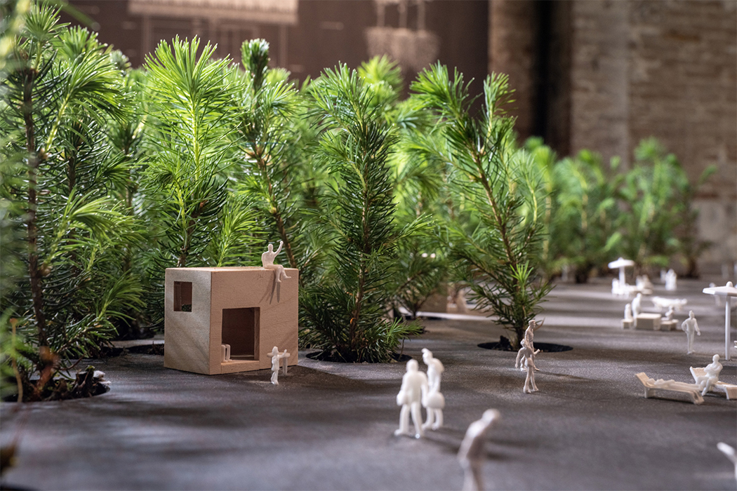 ego to eco——迷你小森林! - 普象网