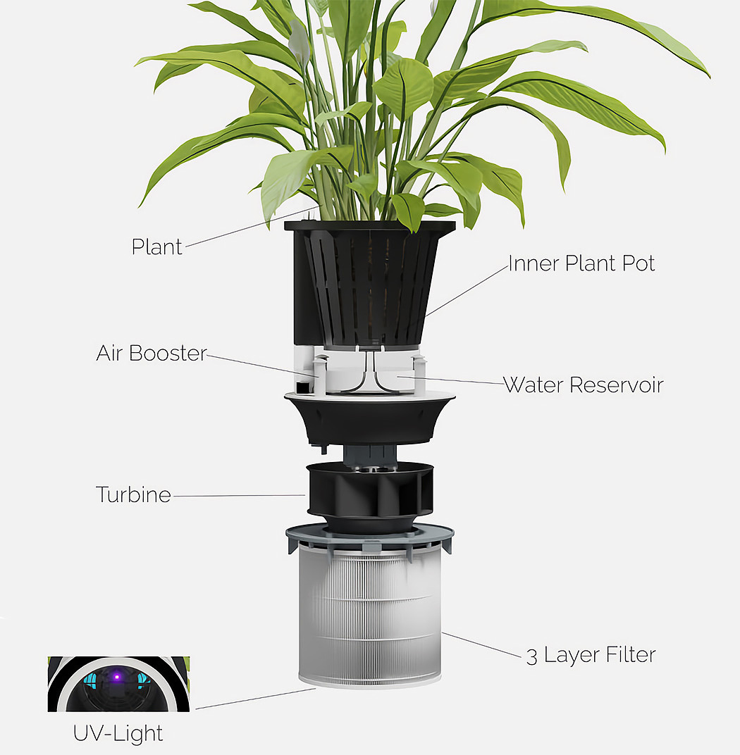 purifier，nasa，Botany，