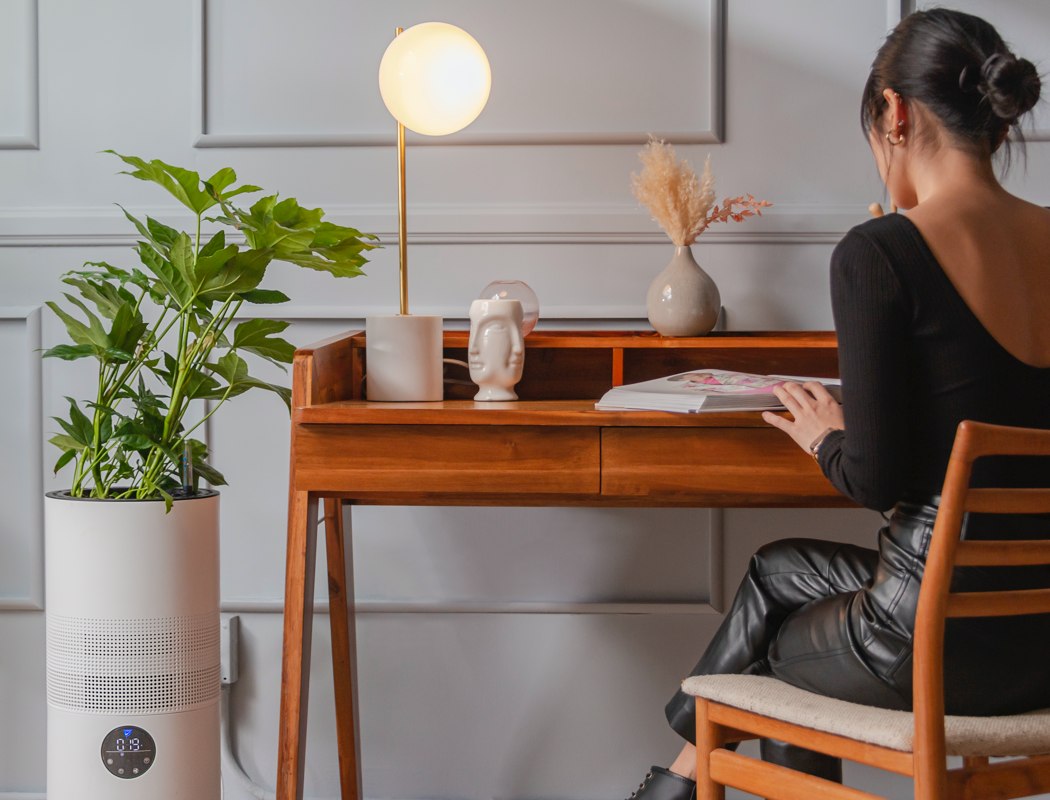 purifier，nasa，Botany，