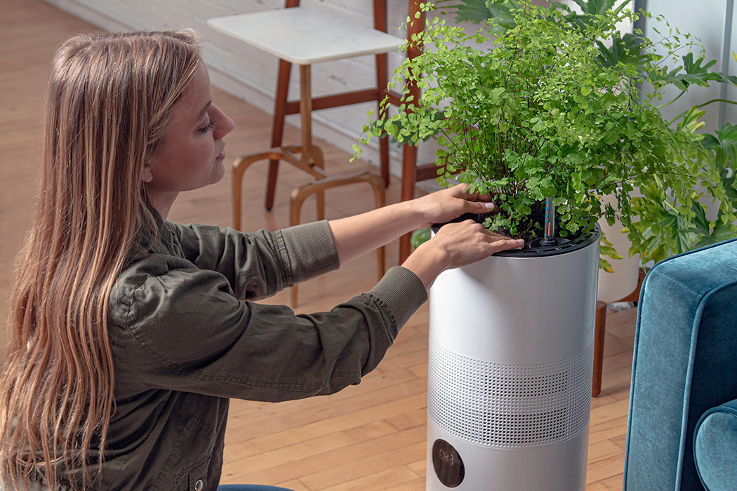 purifier，nasa，Botany，