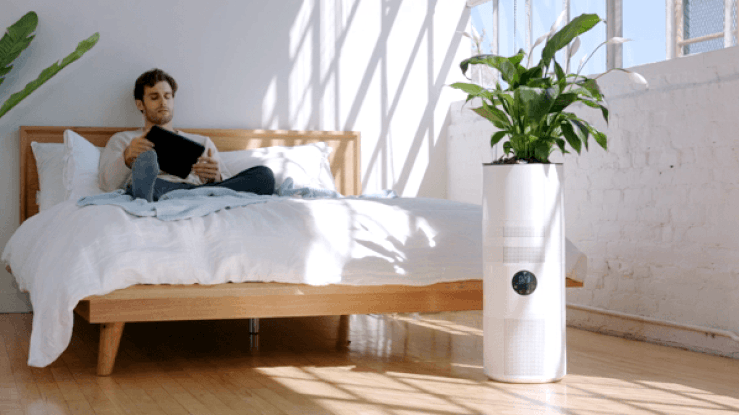 purifier，nasa，Botany，