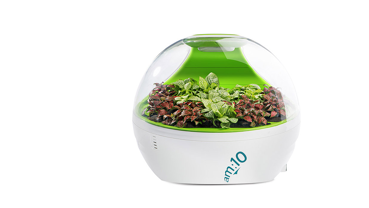 air cleaner，Plant air purifier，
