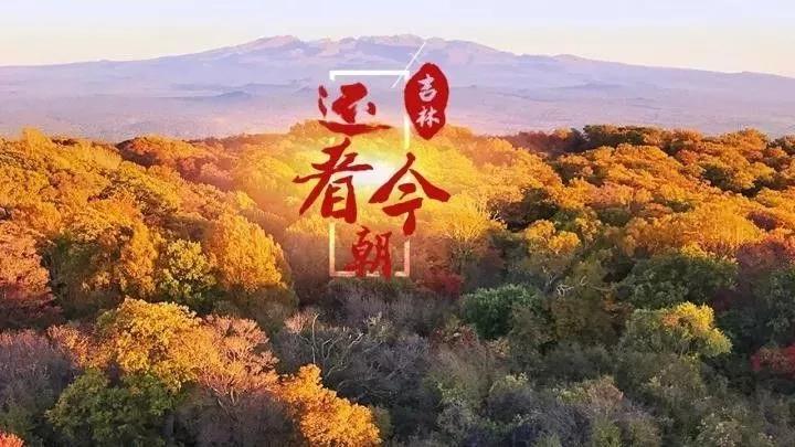 Industry，industrial design，product design，made in China，