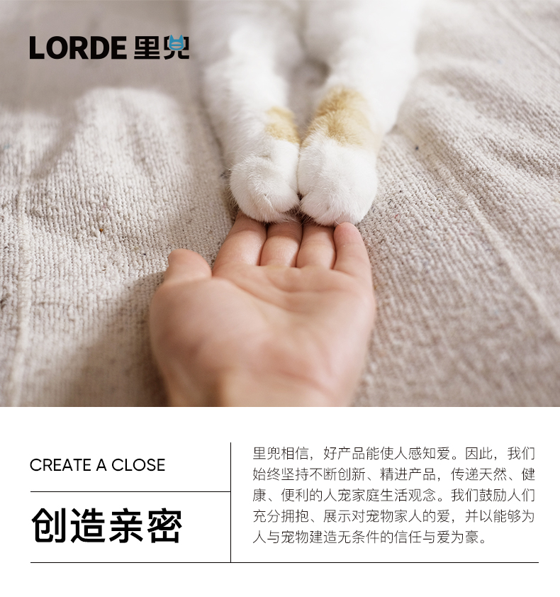 Cats, cat nests, sofas, pets，