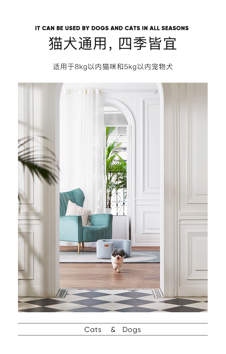 Cats, cat nests, sofas, pets，