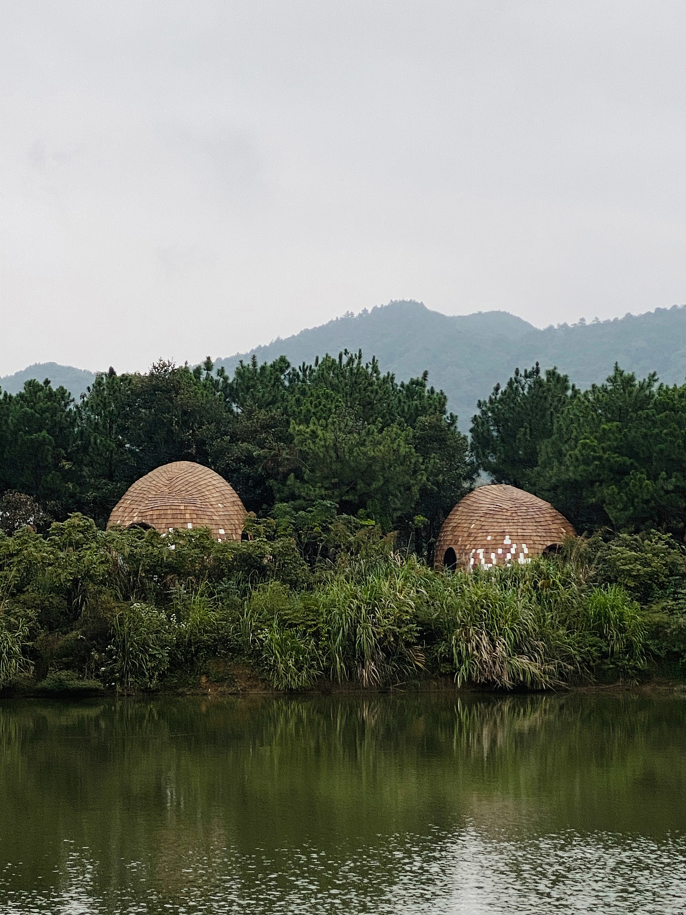 Architecture，forest，hut，wooden ，