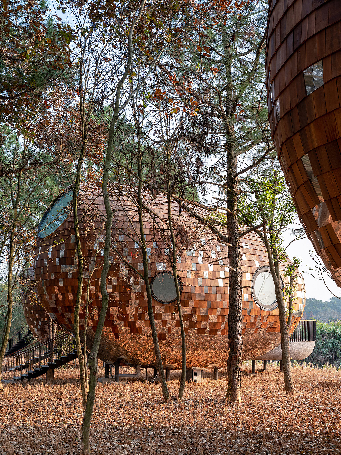 Architecture，forest，hut，wooden ，