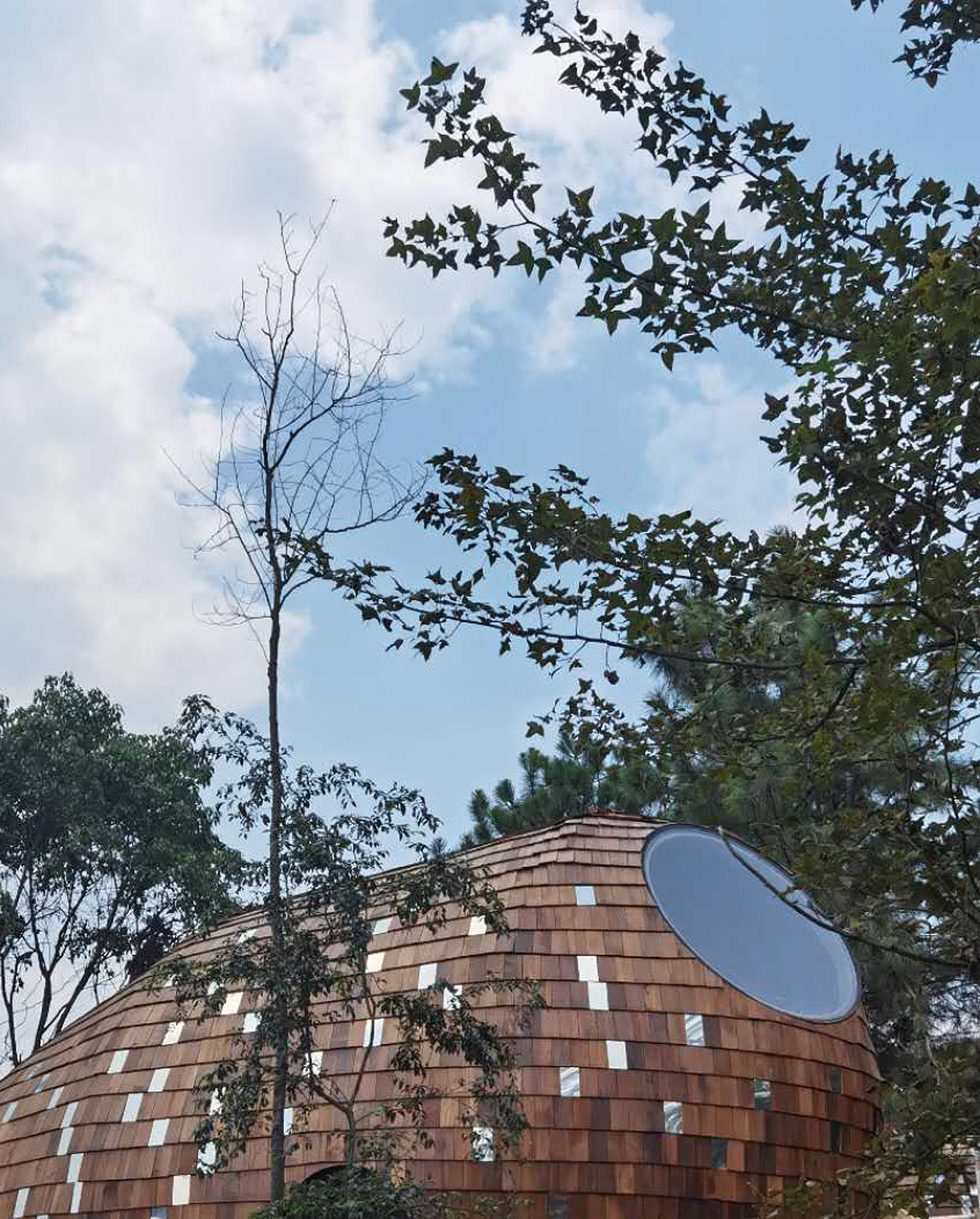 Architecture，forest，hut，wooden ，