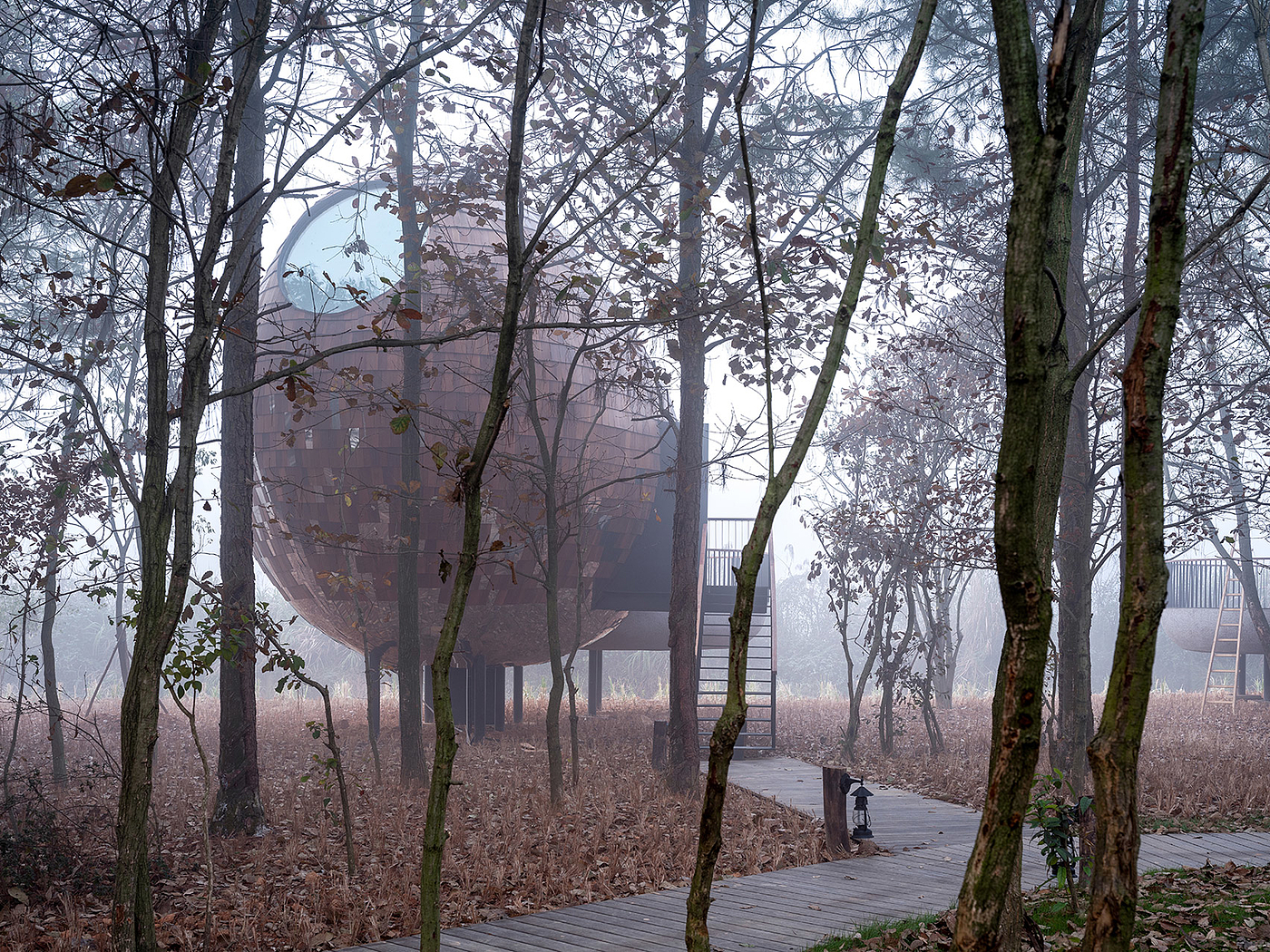 Architecture，forest，hut，wooden ，