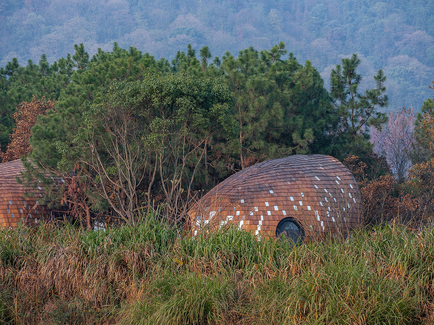 Architecture，forest，hut，wooden ，