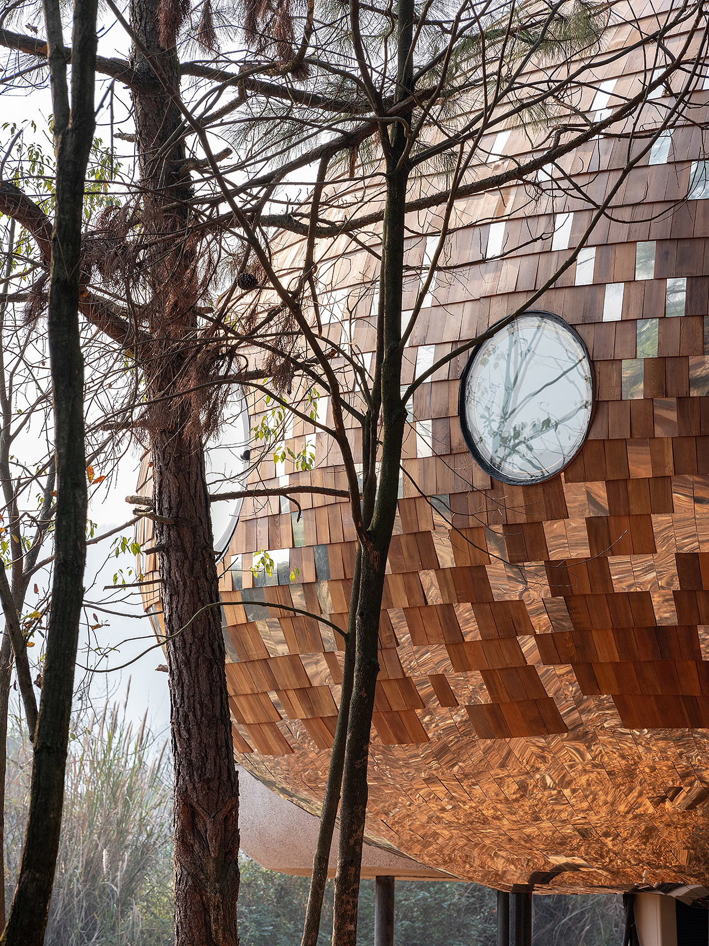 Architecture，forest，hut，wooden ，