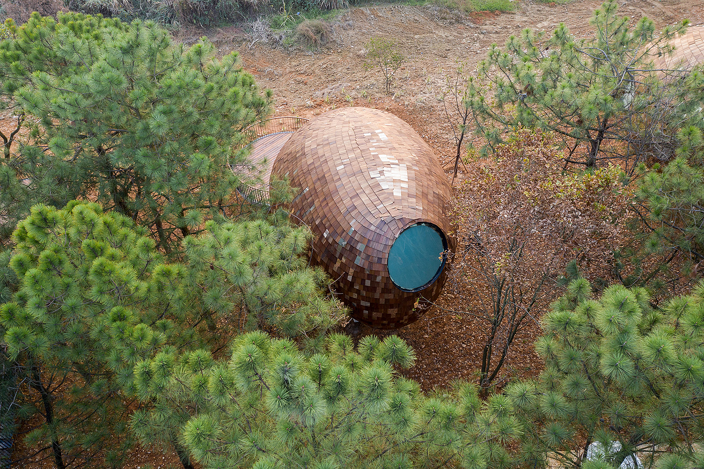 Architecture，forest，hut，wooden ，