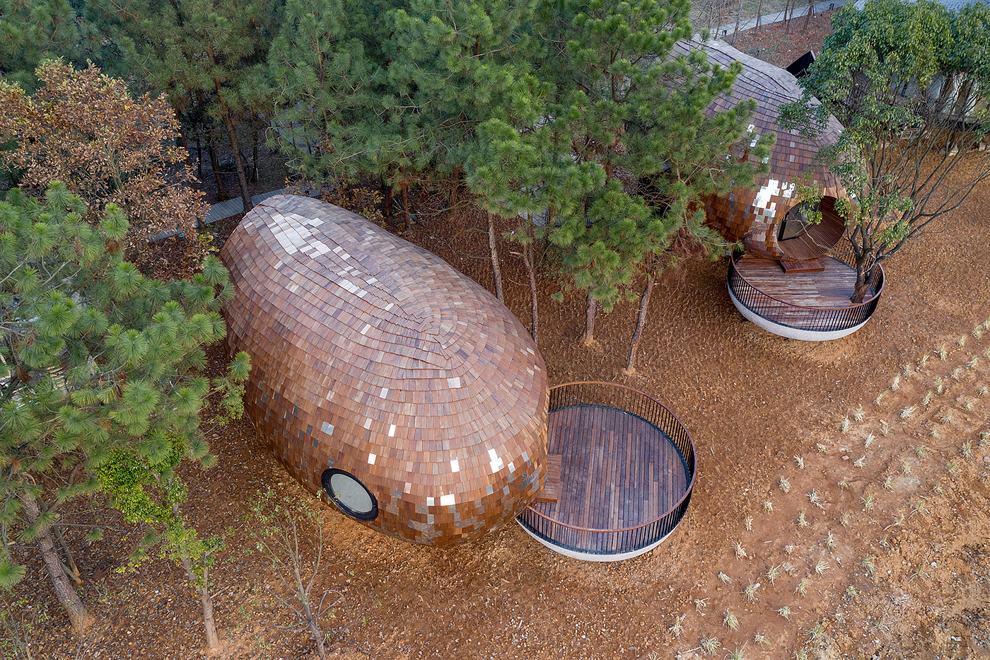 Architecture，forest，hut，wooden ，