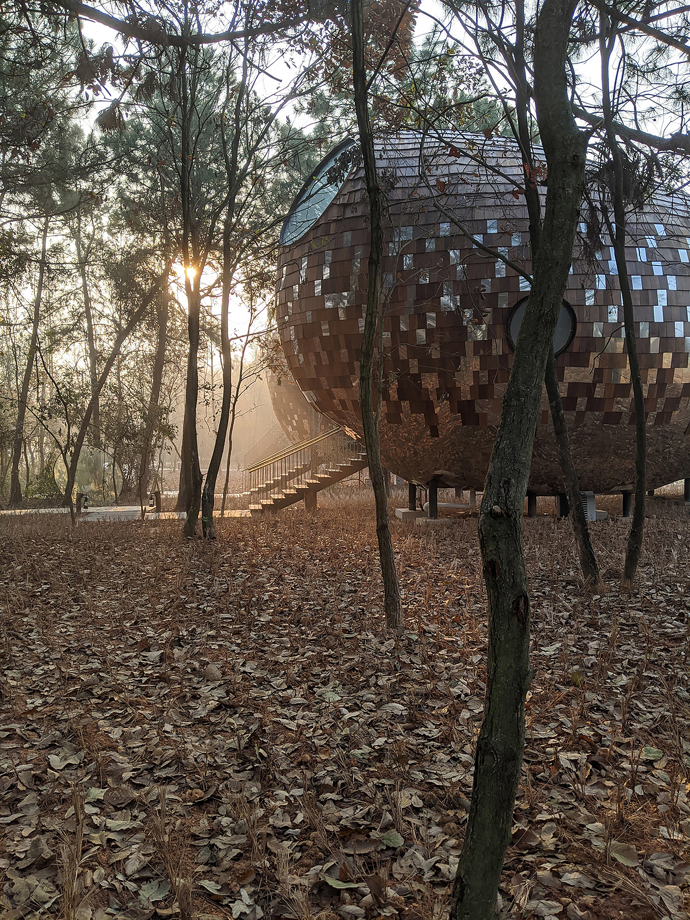 Architecture，forest，hut，wooden ，