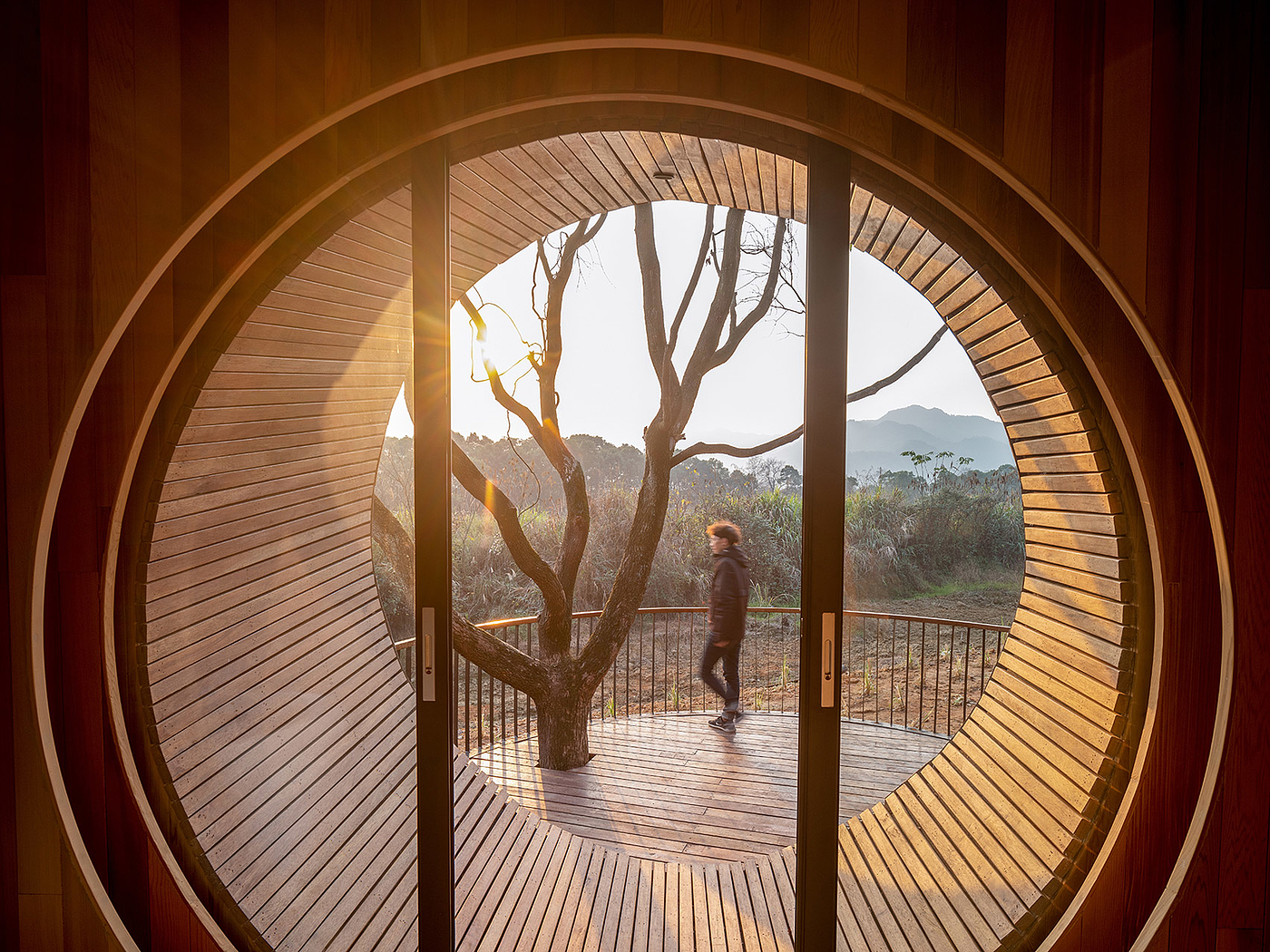 Architecture，forest，hut，wooden ，