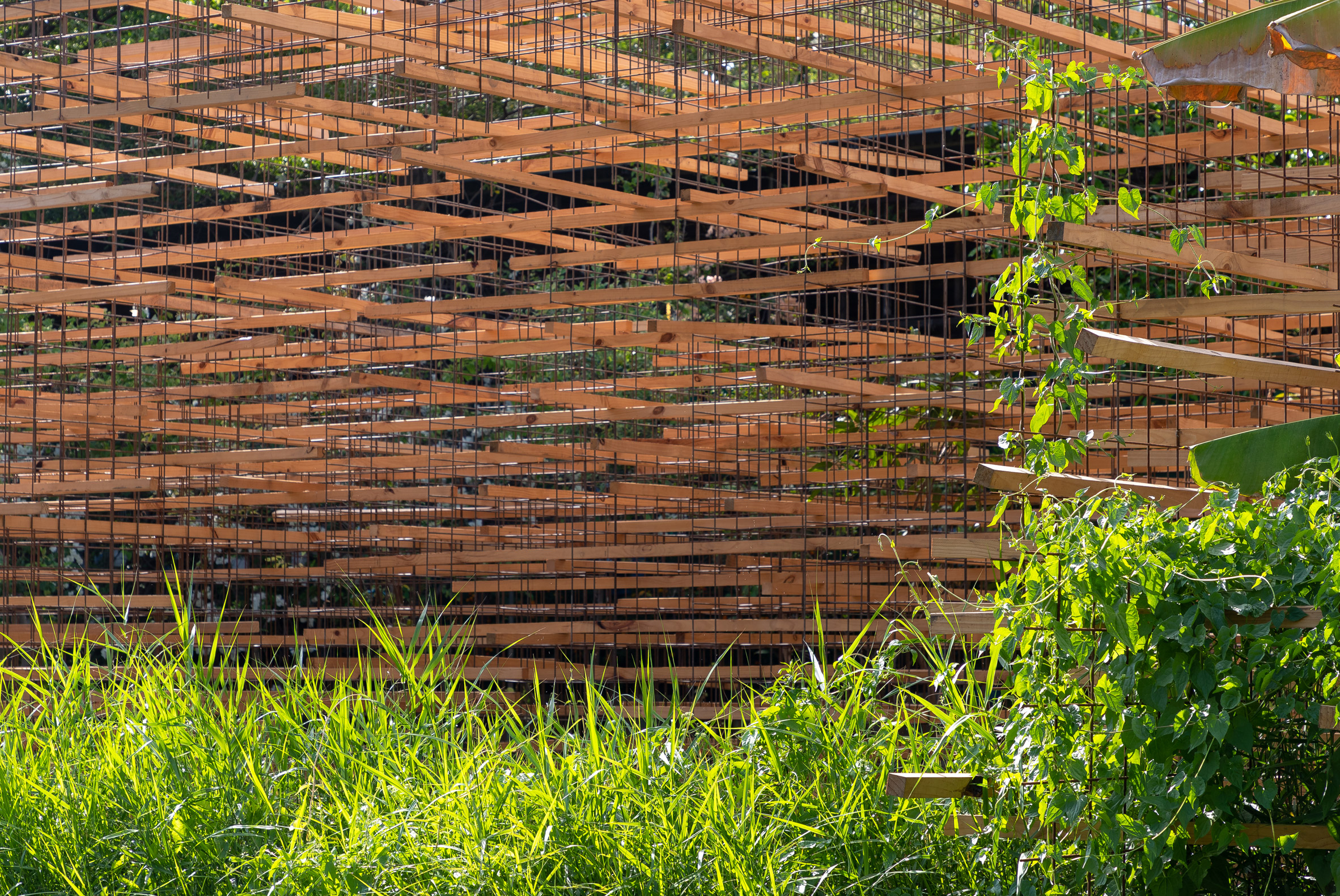 Architecture，Batten，straw，exhibition hall，