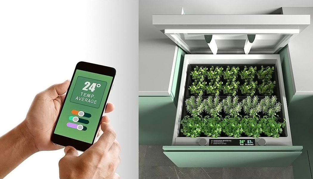 plant，interactive，green product ，