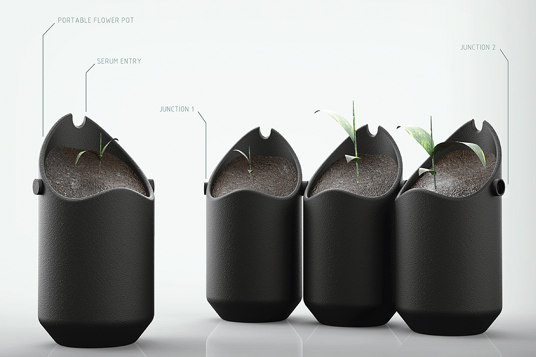 plant，interactive，green product ，