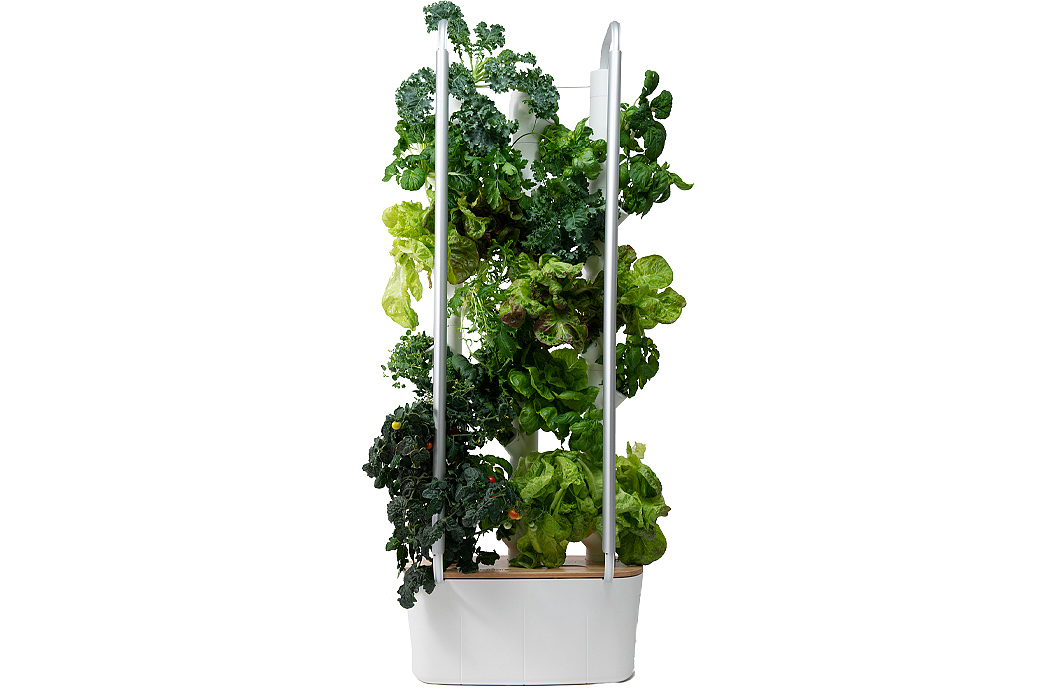 plant，interactive，green product ，