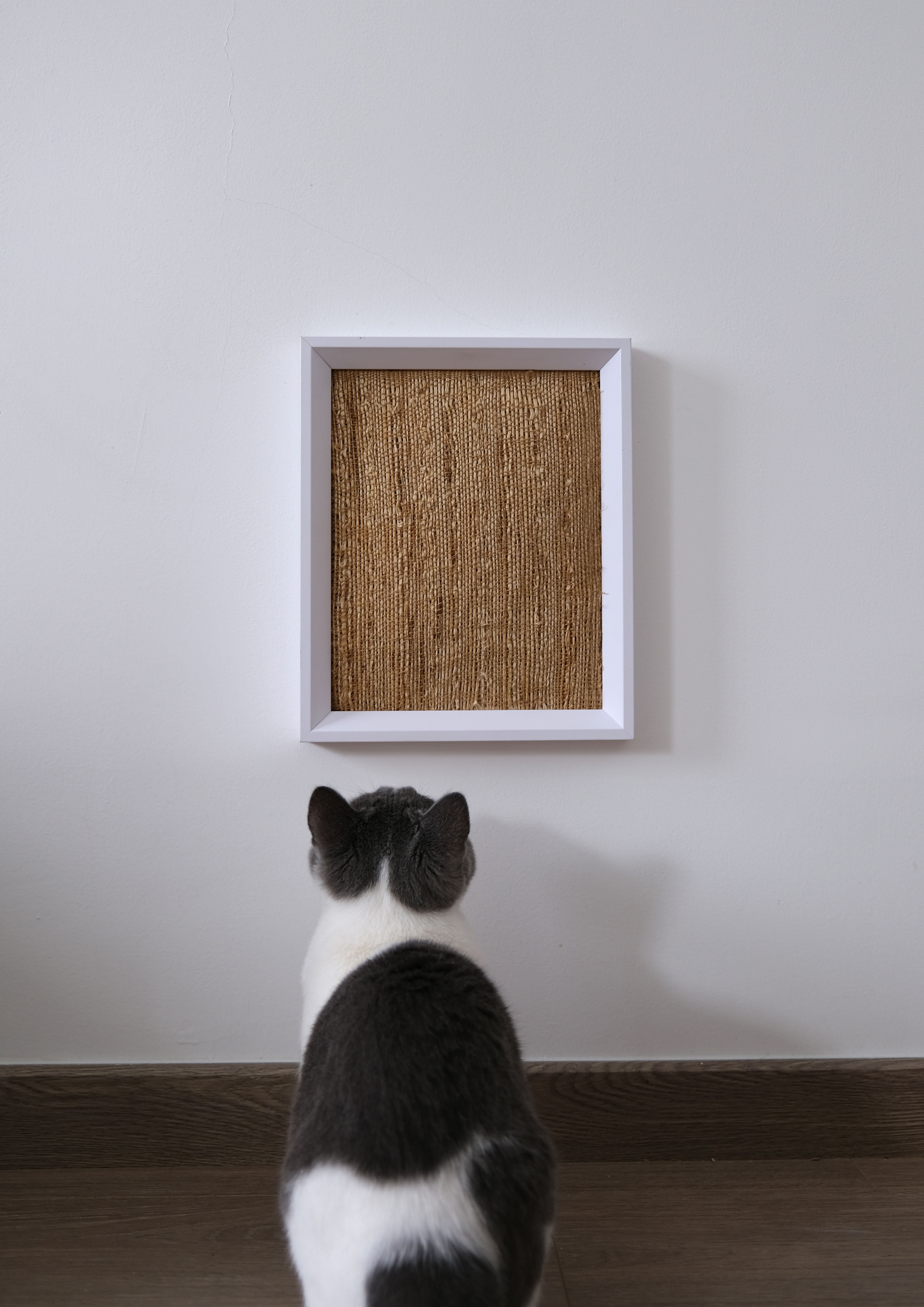 print，mark，Cat scratch board，process，