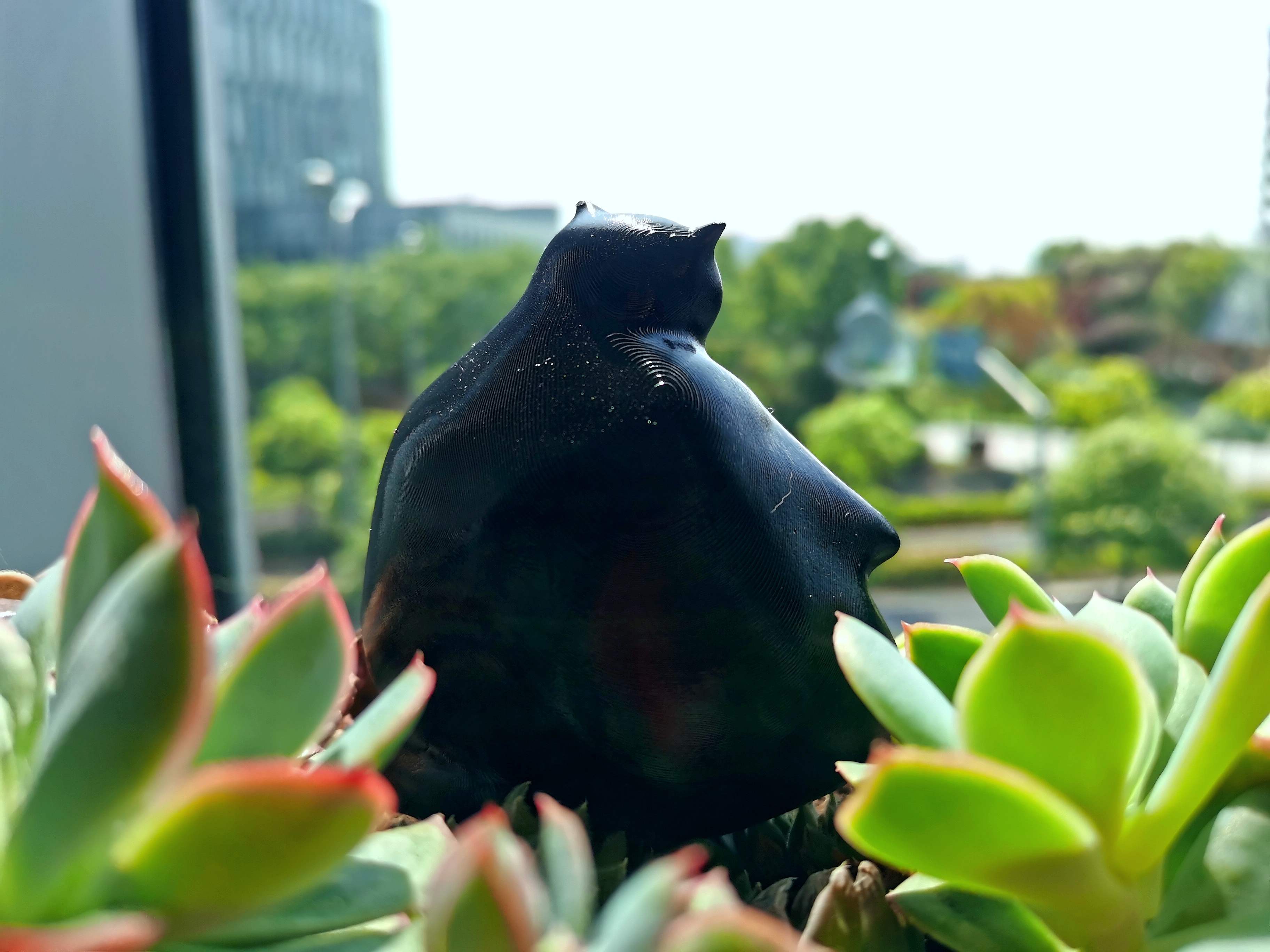 Design，Cultural creation，life style，cat，