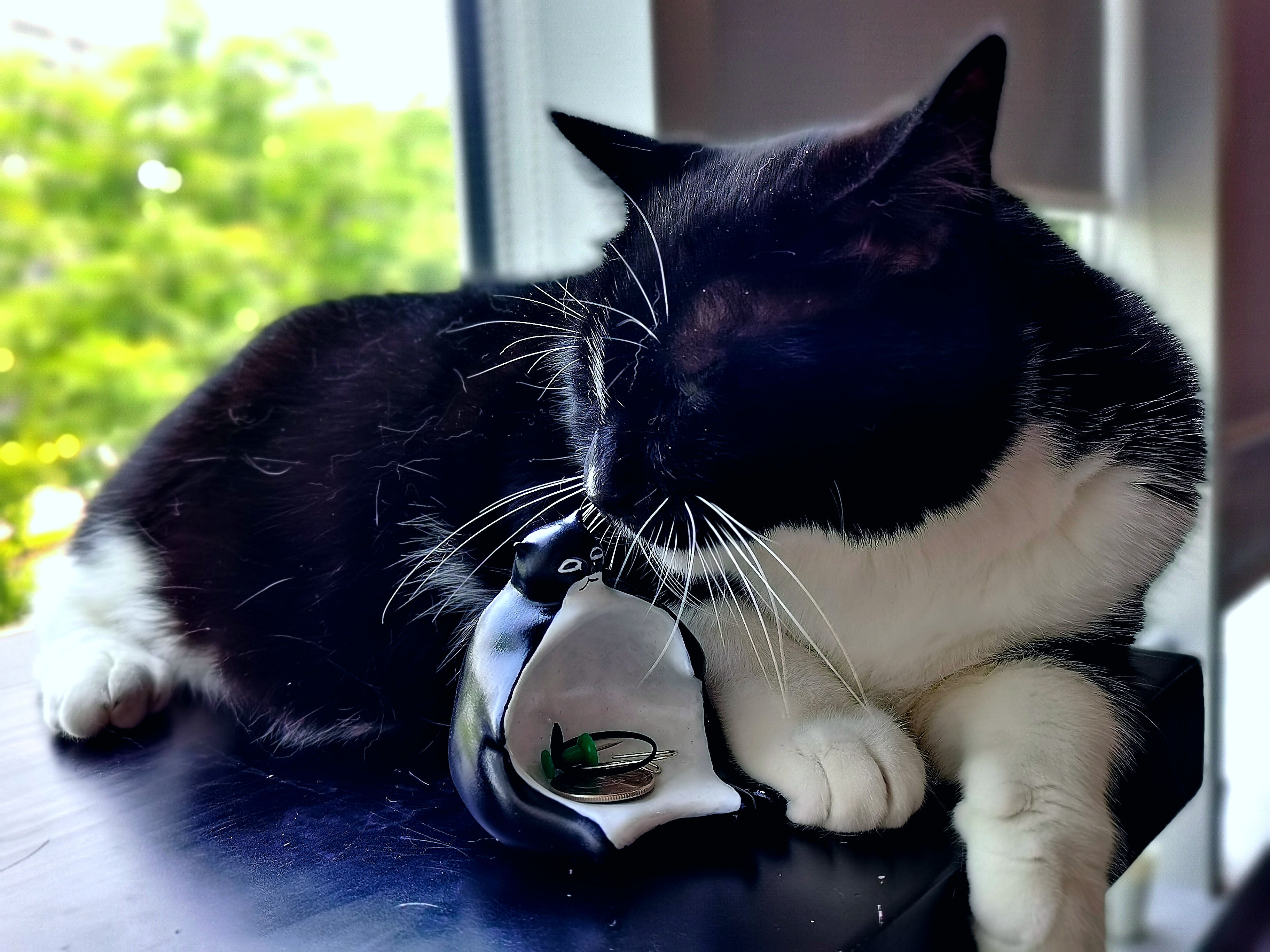 Design，Cultural creation，life style，cat，