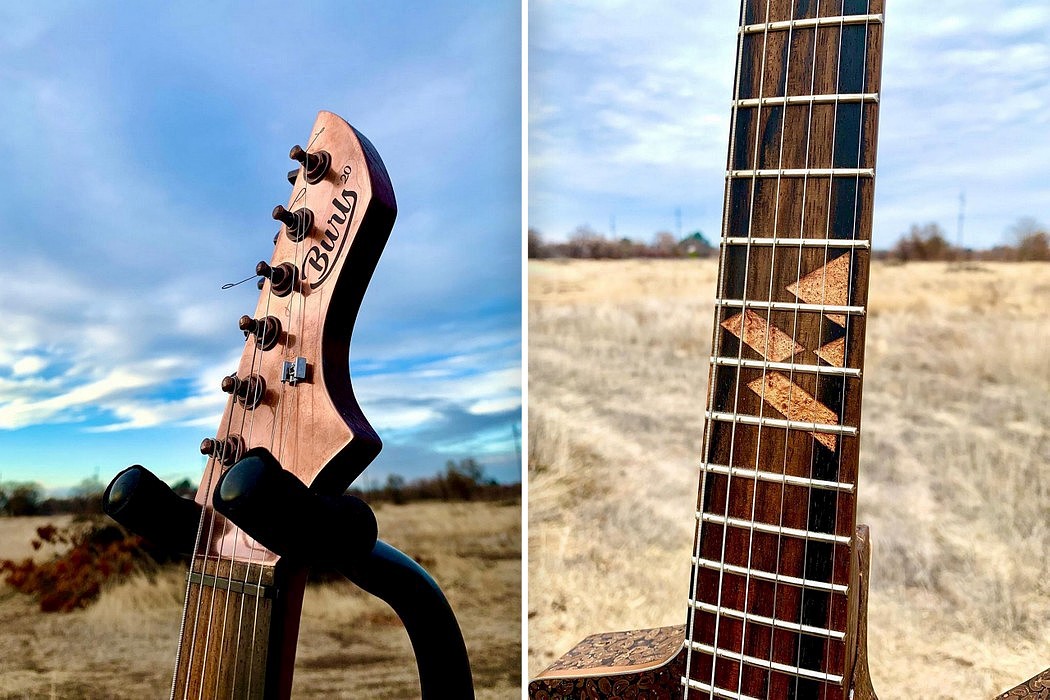 Electric guitar，coffee bean，Burls Art，