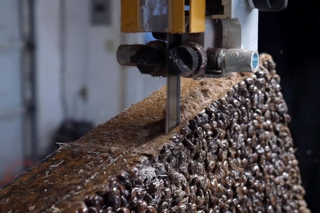 Electric guitar，coffee bean，Burls Art，