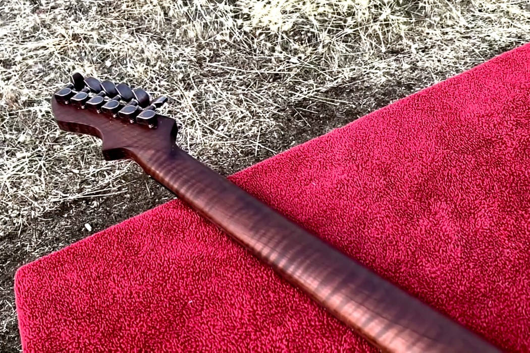 Electric guitar，coffee bean，Burls Art，