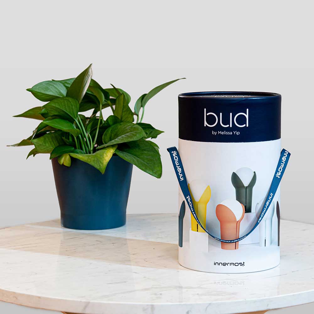 Bud Lamp，Light up，charge，LED light，lighting，Melissa Yip，