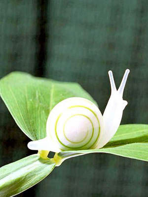 desktop，Sweeping robot，