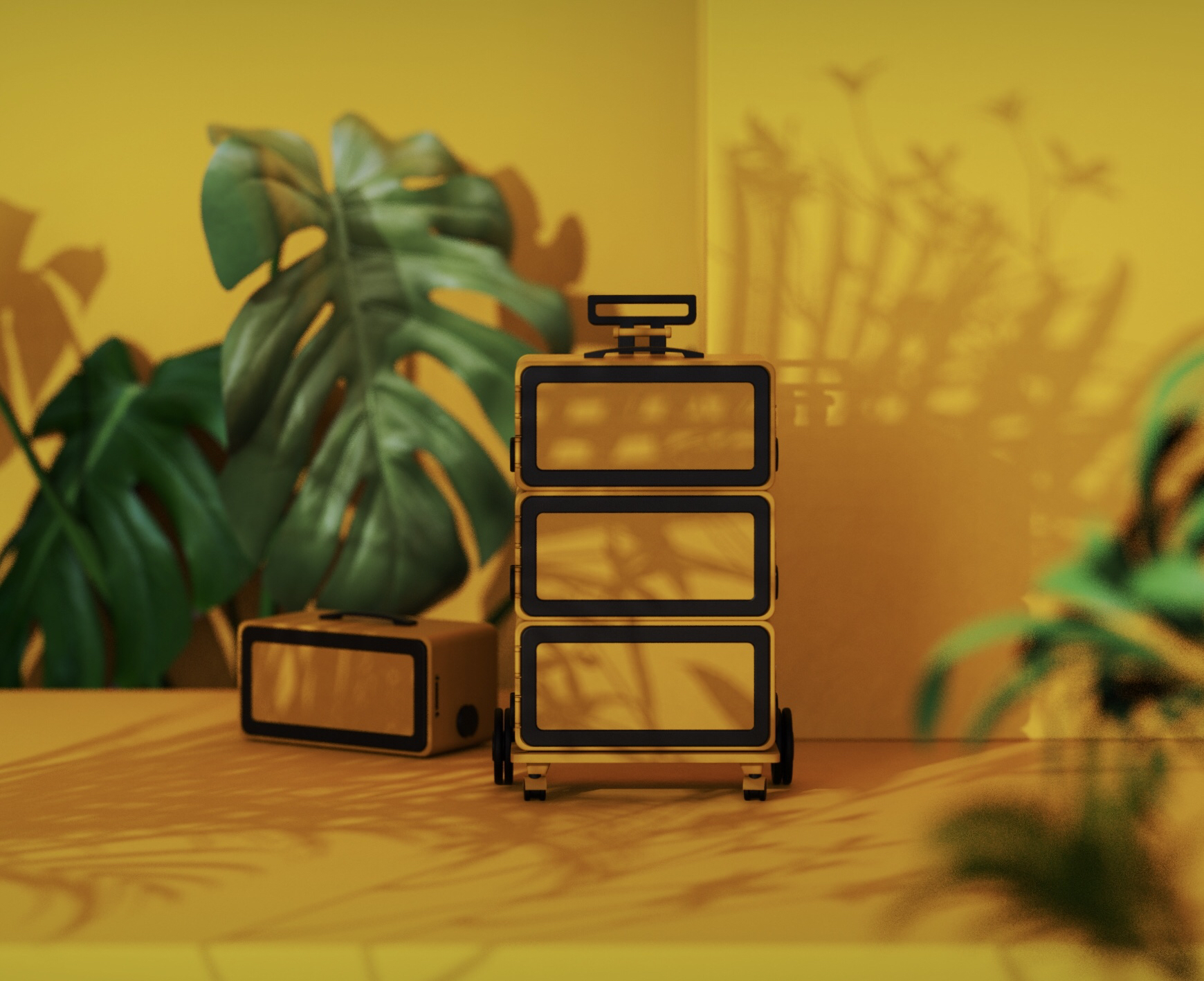 trunk，suitcase，modularization，wardrobe，