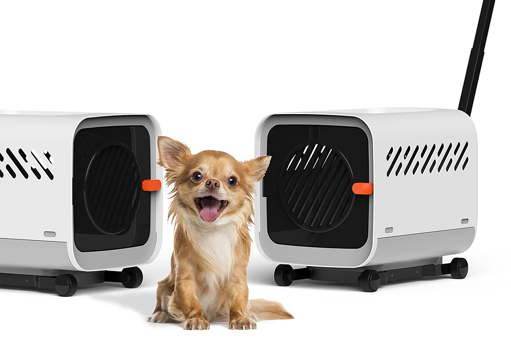 PRODOGT，Agreement，Catzz，Cat bed，transport，
