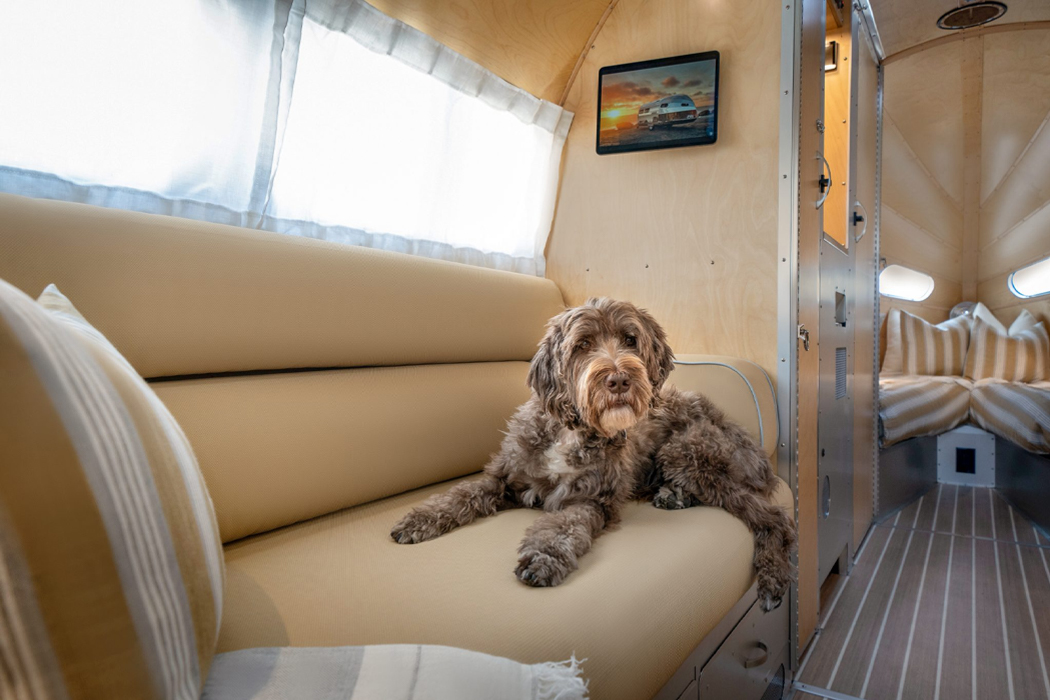 PRODOGT，Agreement，Catzz，Cat bed，transport，