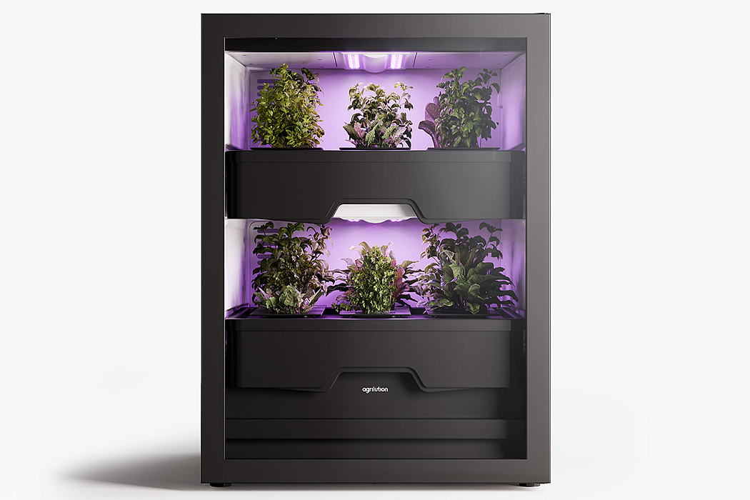 Botany，Vertical agriculture，indoor，