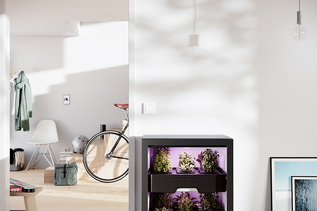 Botany，Vertical agriculture，indoor，