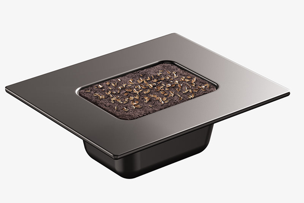 Botany，Vertical agriculture，indoor，