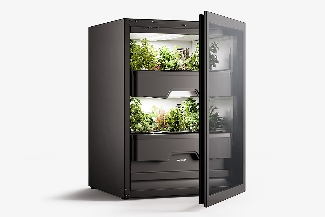 Botany，Vertical agriculture，indoor，