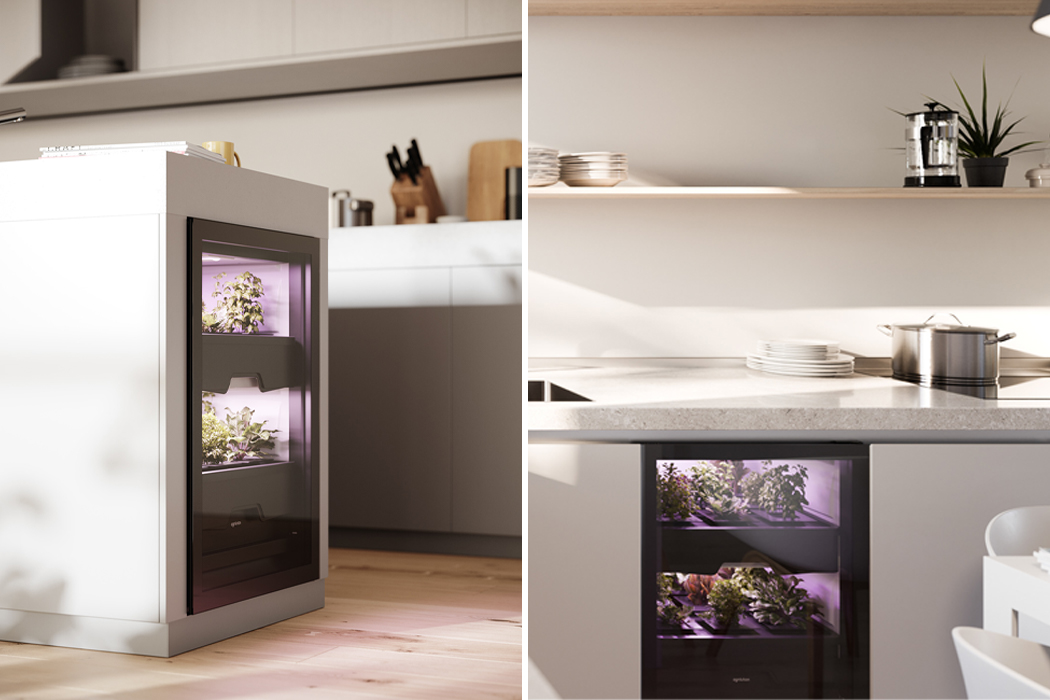 Botany，Vertical agriculture，indoor，