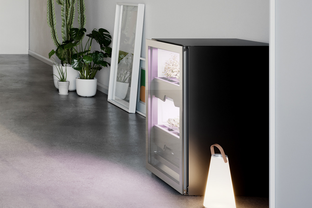 Botany，Vertical agriculture，indoor，