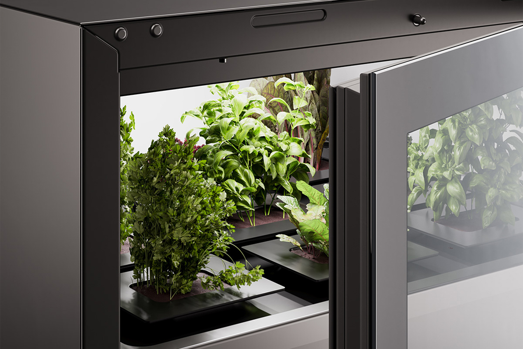 Botany，Vertical agriculture，indoor，