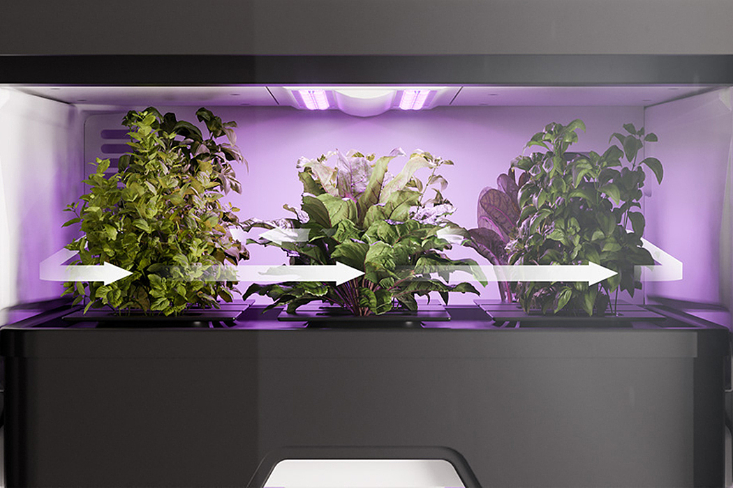 植物，垂直农业，室内，