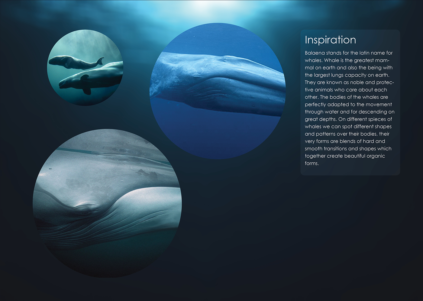 respirator，diving，conceptual design，outdoor sport，oxygen，