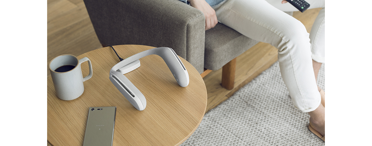 sony，Shoulder style，headset，24880 yuan + tax，