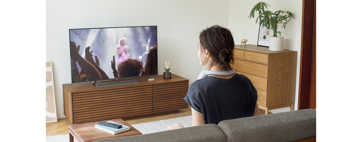 sony，Shoulder style，headset，24880 yuan + tax，