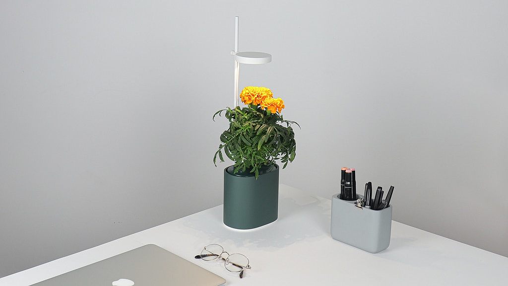 Flowerpot，intelligence，Nano Garden，plant，