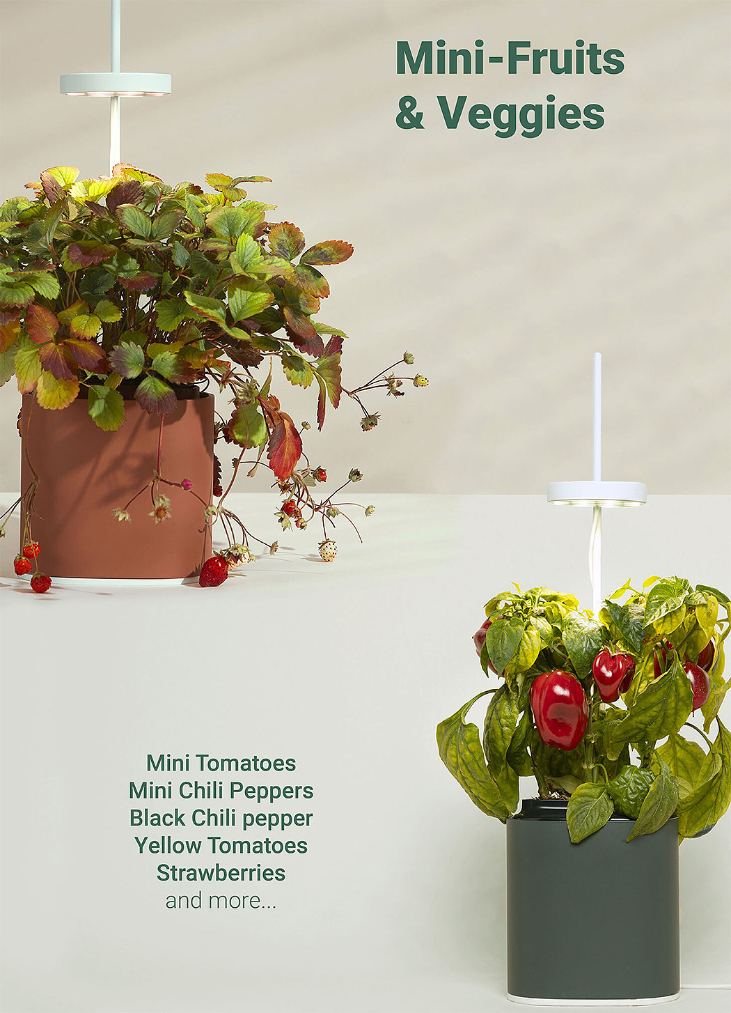 花盆，智能，Nano Garden，种植，