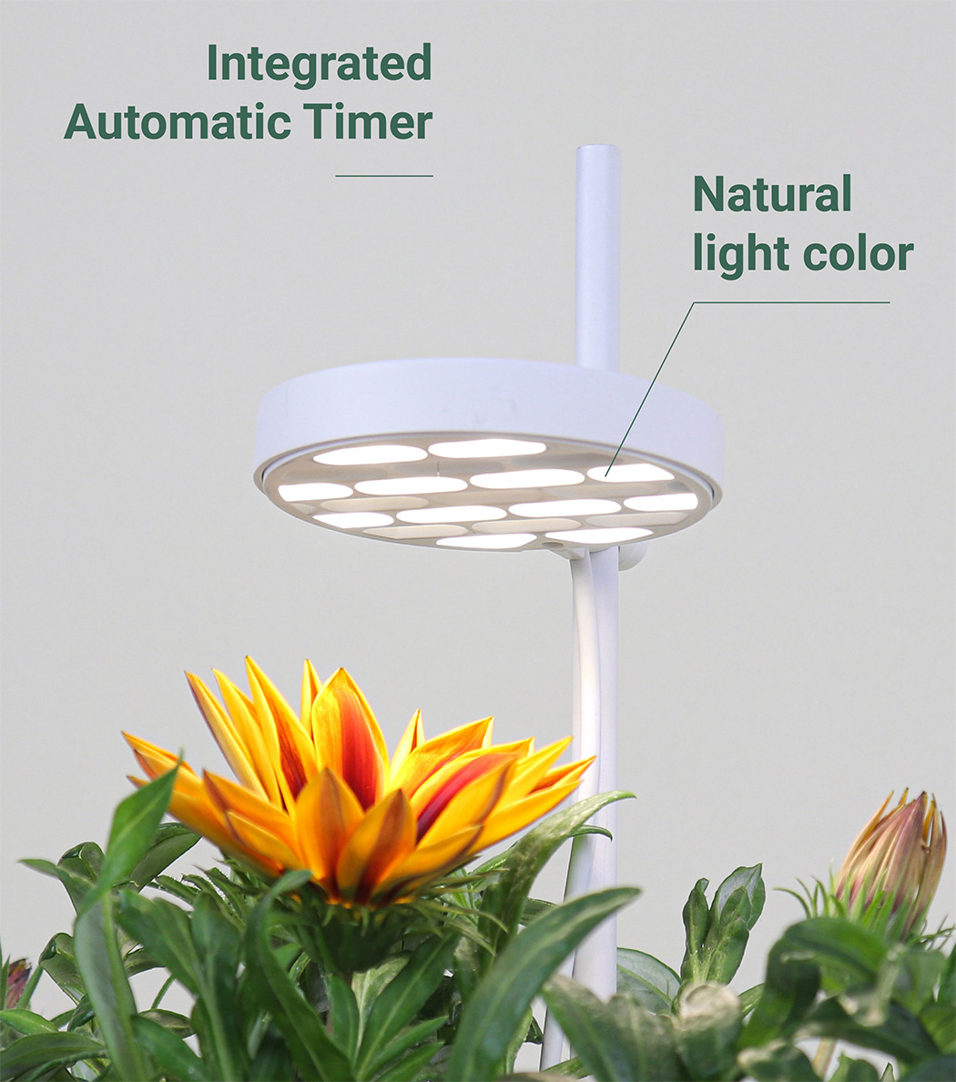 Flowerpot，intelligence，Nano Garden，plant，